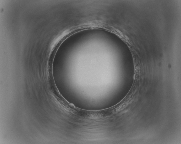 X0000071830248200607141707