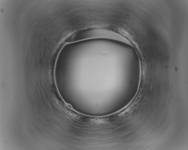 X0000071830249200607141707