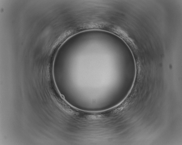 X0000071830250200607141707