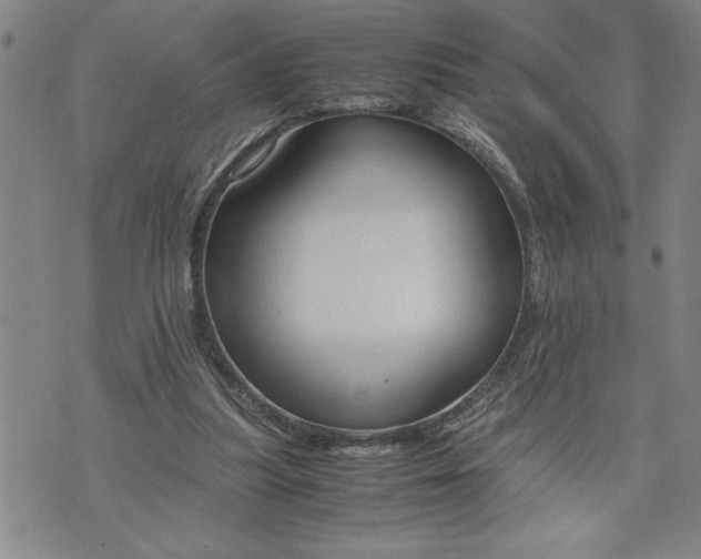 X0000071830251200607141707