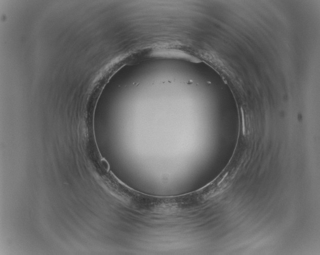 X0000071830252200607141707