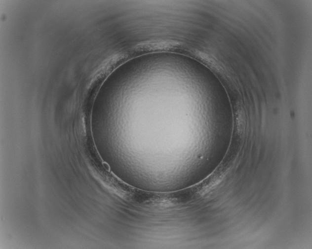 X0000071830254200607141707