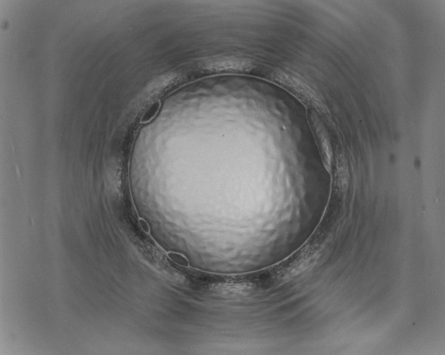 X0000071830255200607141707