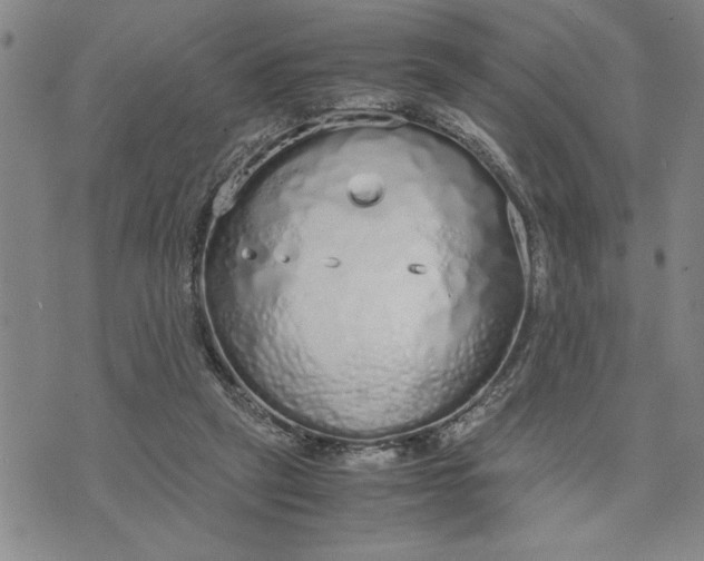 X0000071830257200607141707