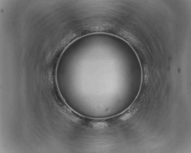 X0000071830258200607141707