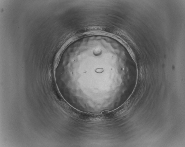 X0000071830259200607141707