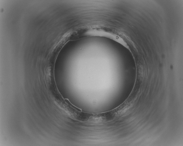 X0000071830260200607141707