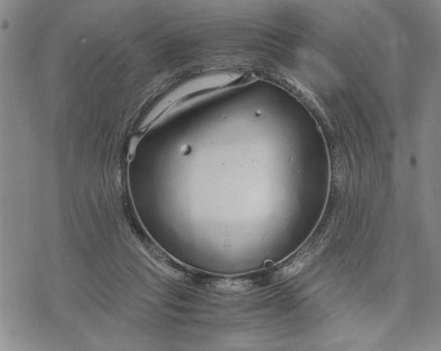 X0000071830261200607141707