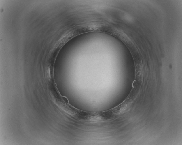 X0000071830262200607141707