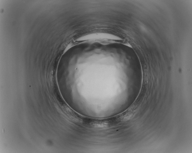 X0000071830263200607141707