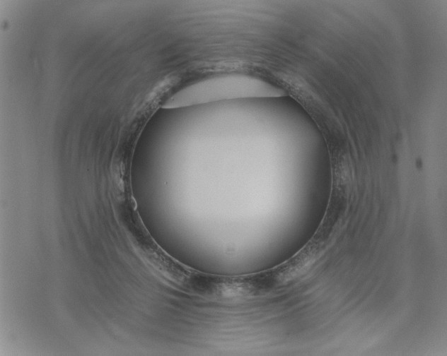 X0000071830264200607141707