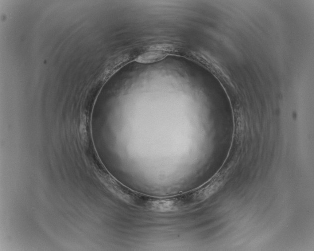 X0000071830265200607141707