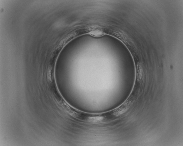 X0000071830266200607141707