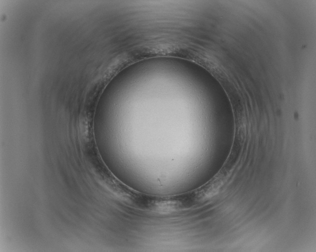 X0000071830268200607141707