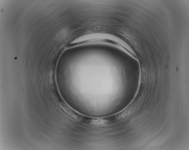 X0000071830269200607141707