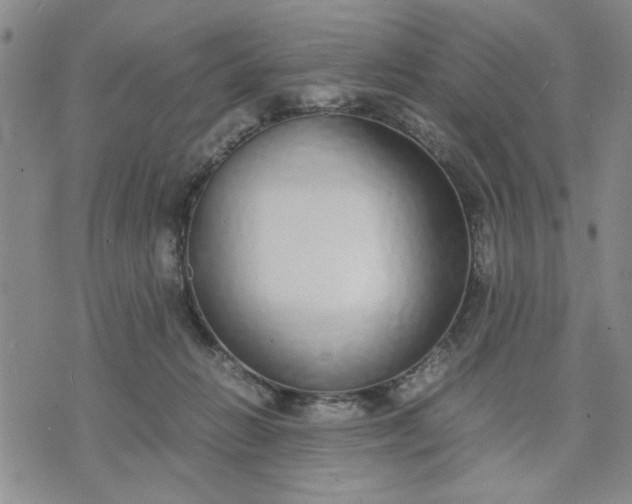 X0000071830270200607141708