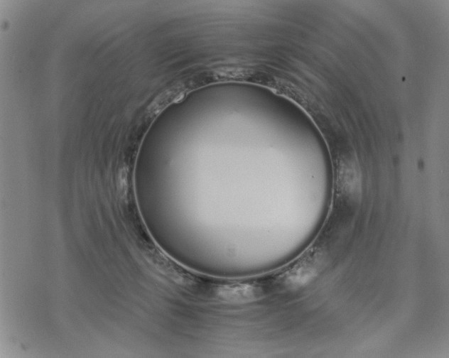 X0000071830271200607141708