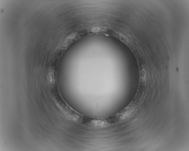 X0000071830272200607141708