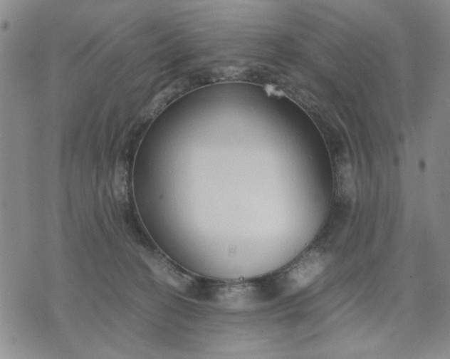 X0000071830274200607141708