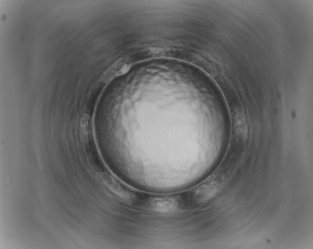 X0000071830275200607141708