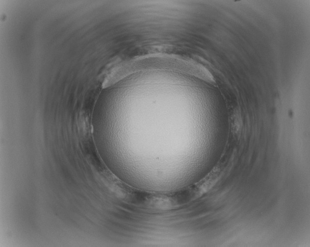 X0000071830276200607141708