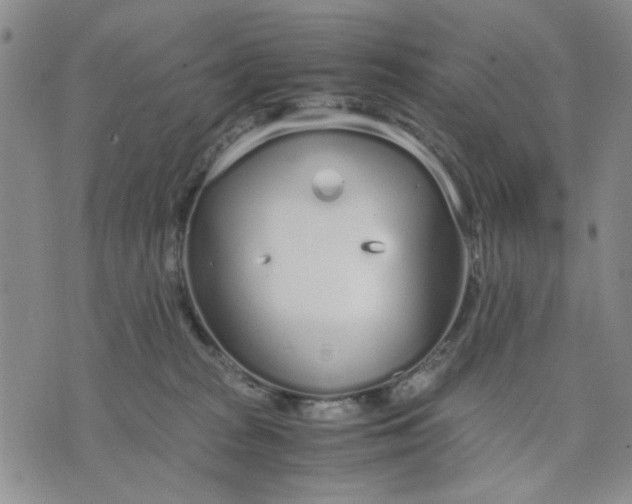 X0000071830277200607141708