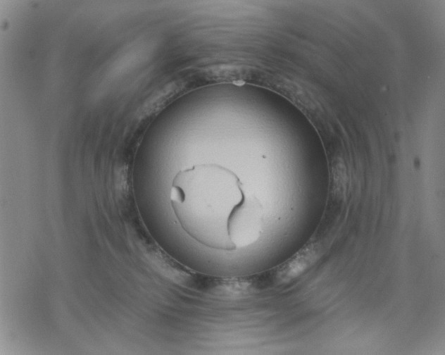 X0000071830278200607141708