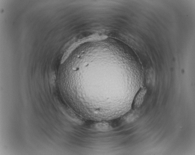 X0000071830279200607141708