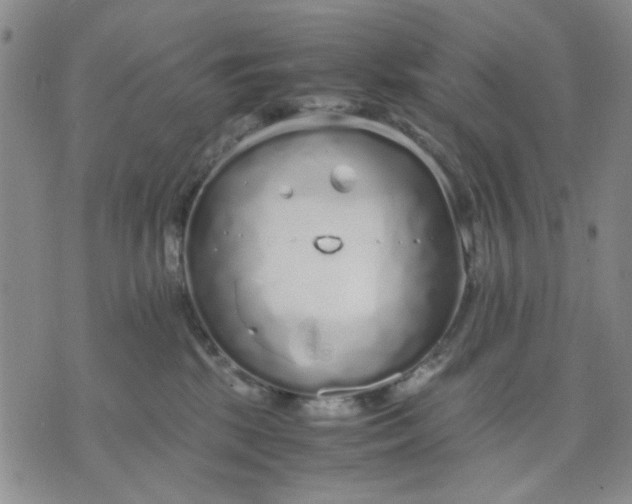 X0000071830281200607141708