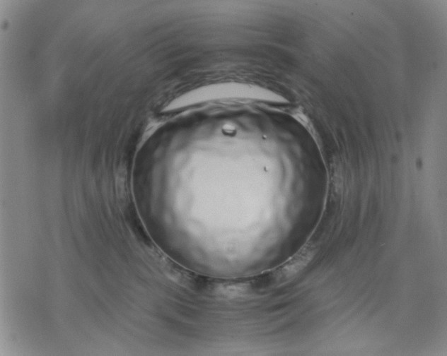 X0000071830283200607141708