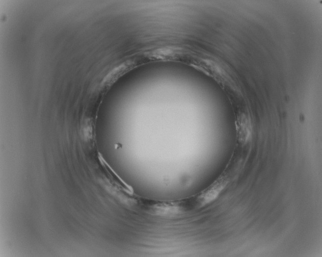 X0000071830284200607141708