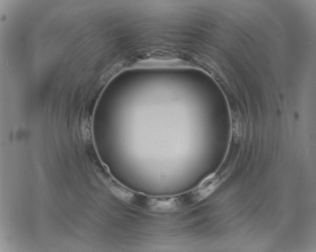 X0000071830285200607141708