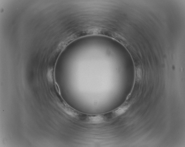 X0000071830286200607141708