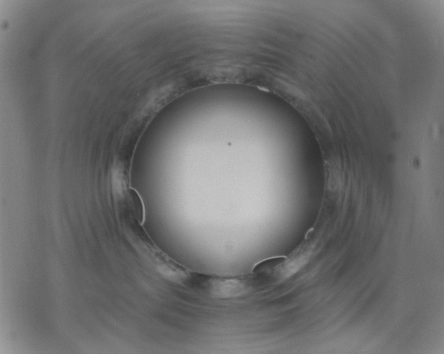 X0000071830287200607141708