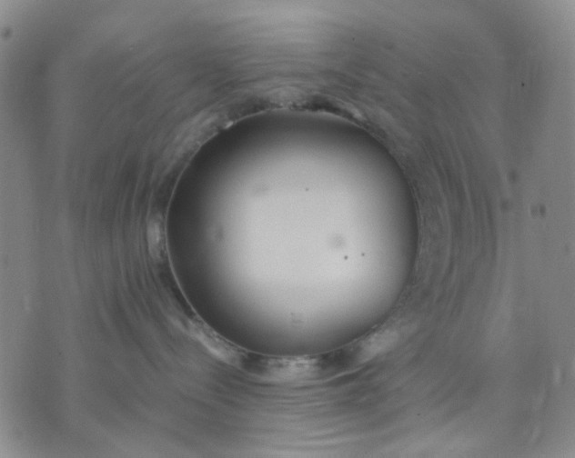 X0000071830288200607141708