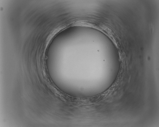 X0000071830289200607141707