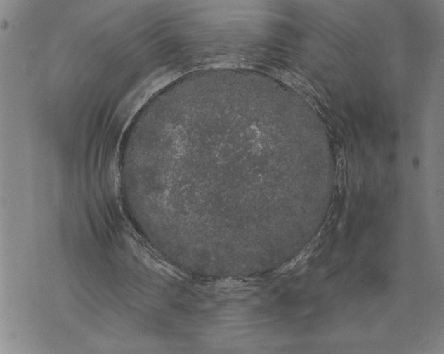 X0000071830290200607141707