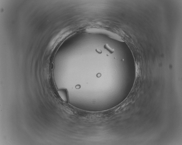 X0000071830291200607141707