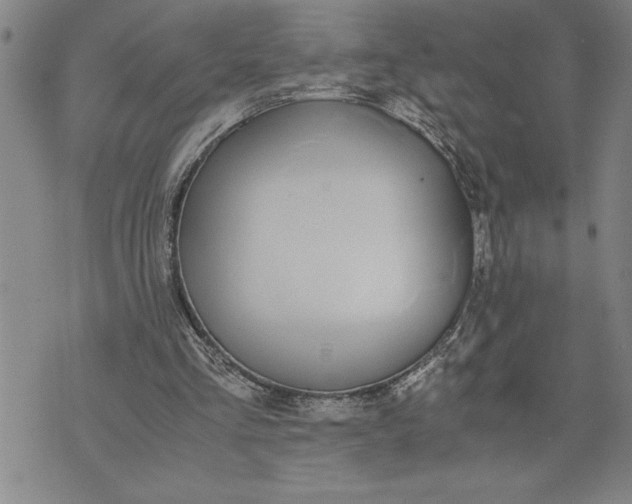 X0000071830293200607141707