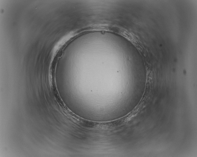 X0000071830294200607141707