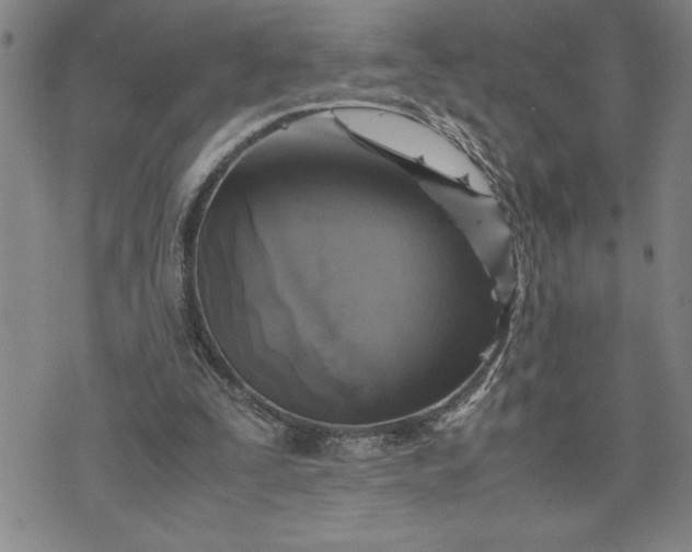 X0000071830295200607141707