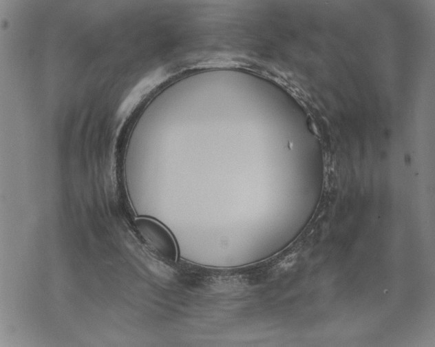 X0000071830296200607141707