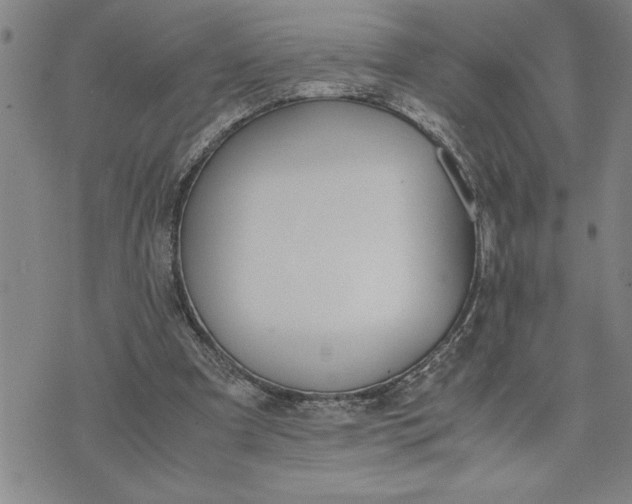 X0000071830297200607141707