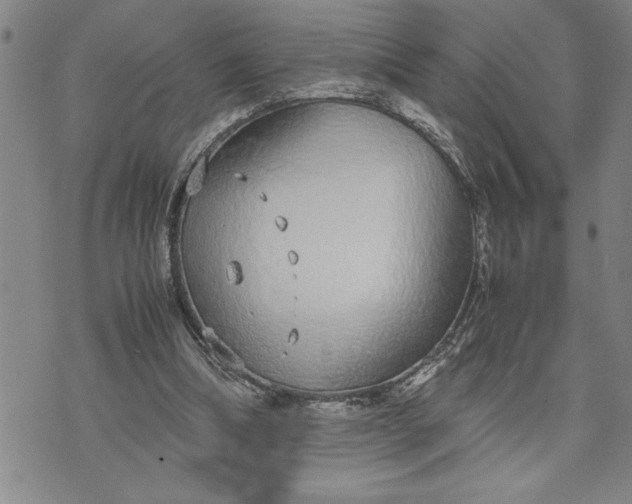 X0000071830298200607141707