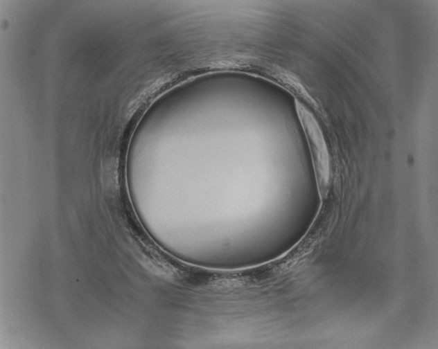 X0000071830299200607141707