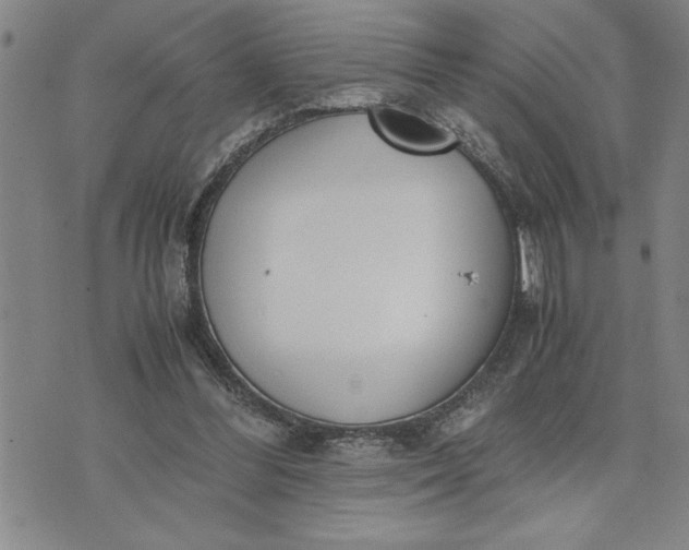 X0000071830300200607141707