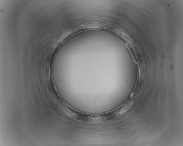 X0000071830301200607141707