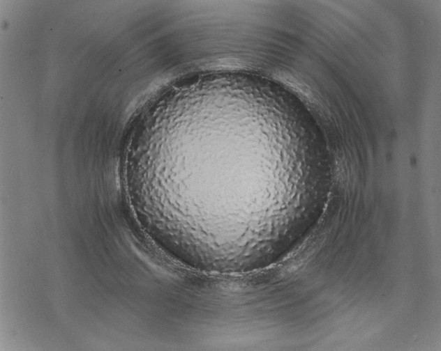 X0000071830302200607141707