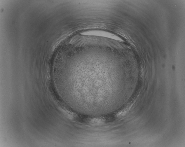 X0000071830303200607141707