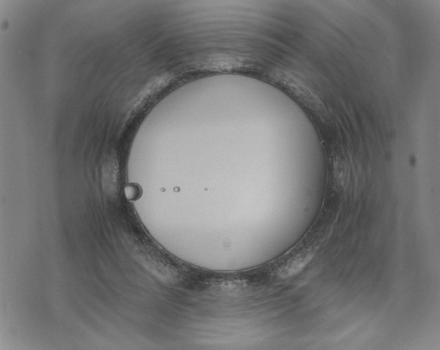 X0000071830304200607141707